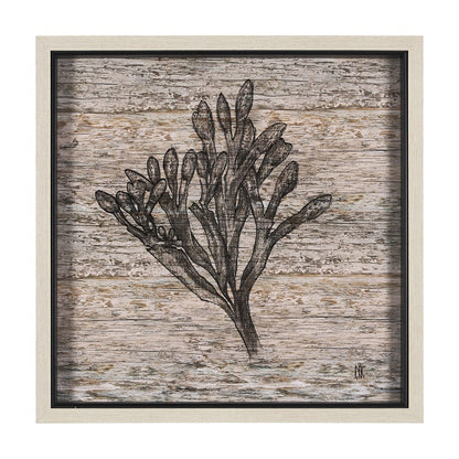 Mercana - Wood Grain Sea Plant II by Mercana Studio a Hand Embellished Textured Framed Art Print - 15206 view 1