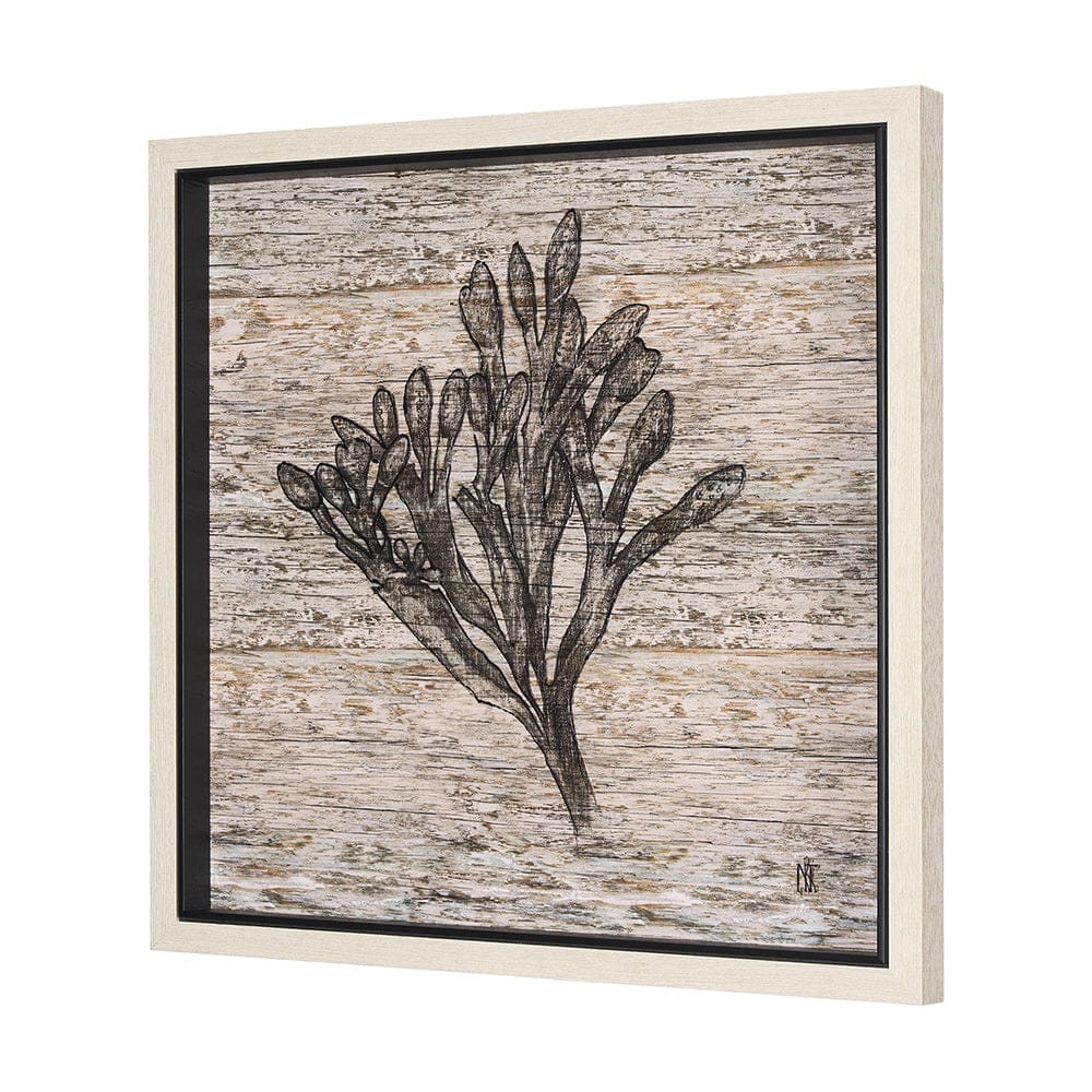 Mercana - Wood Grain Sea Plant II by Mercana Studio a Hand Embellished Textured Framed Art Print - 15206 view 2