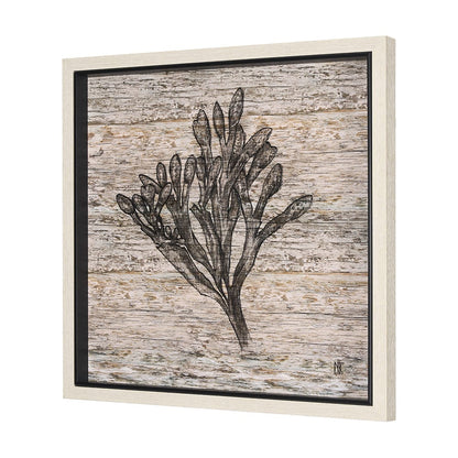 Mercana - Wood Grain Sea Plant II by Mercana Studio a Hand Embellished Textured Framed Art Print - 15206 view 2