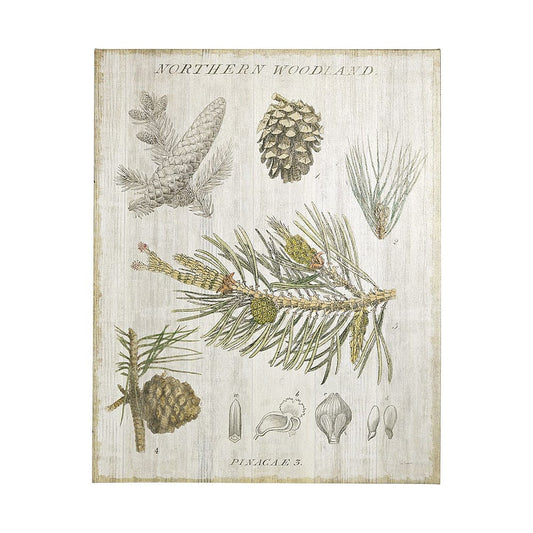 Mercana - Woodland Chart III by Sue Schlabach a Hand Embellished Textured Canvas - 101579-L view 1