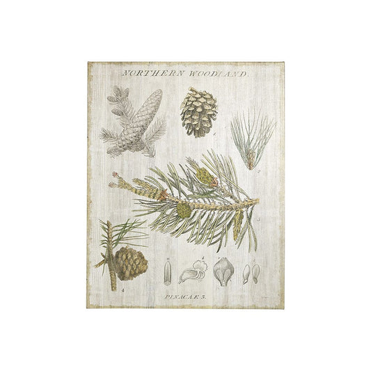 Mercana - Woodland Chart III by Sue Schlabach a Hand Embellished Textured Canvas - 101579-S view 1