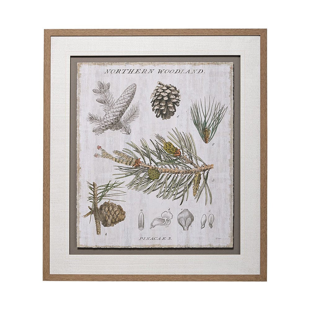 Mercana - Woodland Chart III by Sue Schlabach a Hand Embellished Textured Framed Art Print Matted under Glass - 13073 view 1