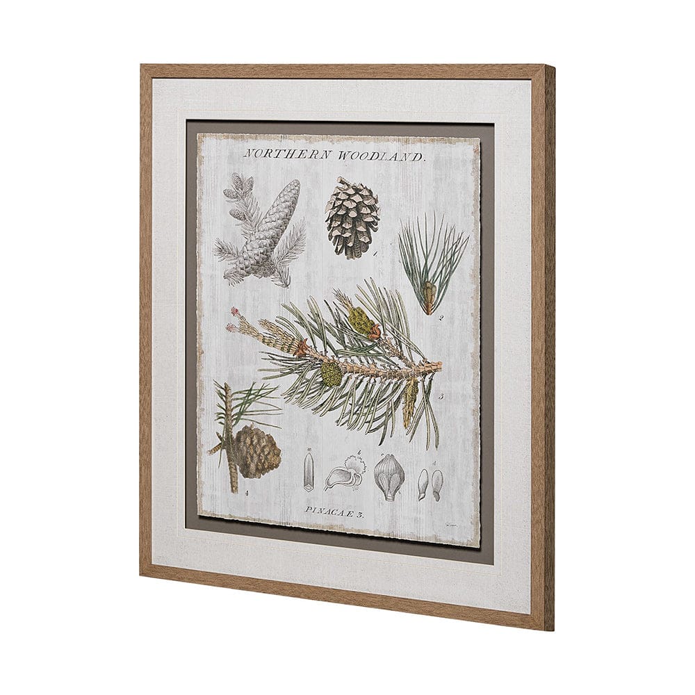 Mercana - Woodland Chart III by Sue Schlabach a Hand Embellished Textured Framed Art Print Matted under Glass - 13073 view 4