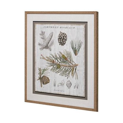 Mercana - Woodland Chart III by Sue Schlabach a Hand Embellished Textured Framed Art Print Matted under Glass - 13073 view 4