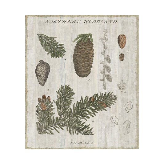 Mercana - Woodland Chart IV by Sue Schlabach a Hand Embellished Textured Canvas - 101580-L view 1