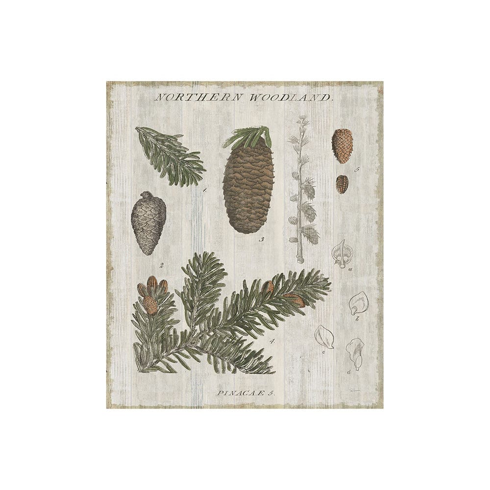 Mercana - Woodland Chart IV by Sue Schlabach a Hand Embellished Textured Canvas - 101580-S view 1