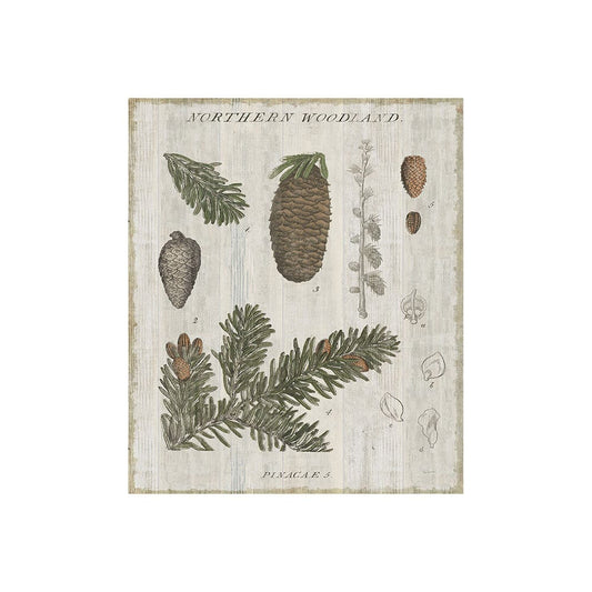 Mercana - Woodland Chart IV by Sue Schlabach a Hand Embellished Textured Canvas - 101580-S view 1