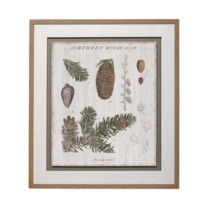 Mercana - Woodland Chart IV by Sue Schlabach a Hand Embellished Textured Framed Art Print Matted under Glass - 13074 view 1