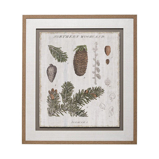 Mercana - Woodland Chart IV by Sue Schlabach a Hand Embellished Textured Framed Art Print Matted under Glass - 13074 view 1