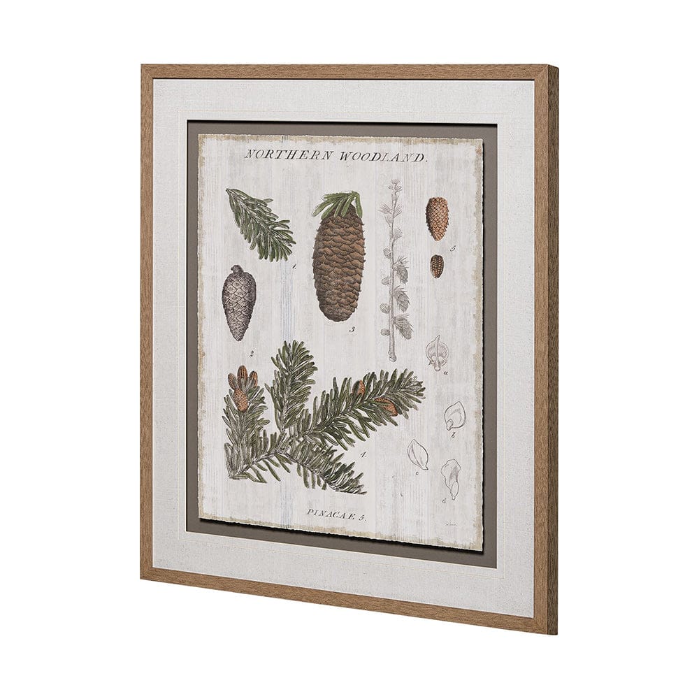 Mercana - Woodland Chart IV by Sue Schlabach a Hand Embellished Textured Framed Art Print Matted under Glass - 13074 view 4