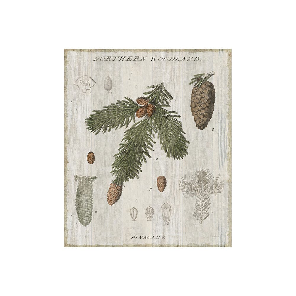 Mercana - Woodland Chart V by Sue Schlabach a Hand Embellished Textured Canvas - 101581-S view 1