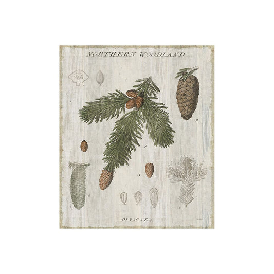 Mercana - Woodland Chart V by Sue Schlabach a Hand Embellished Textured Canvas - 101581-S view 1