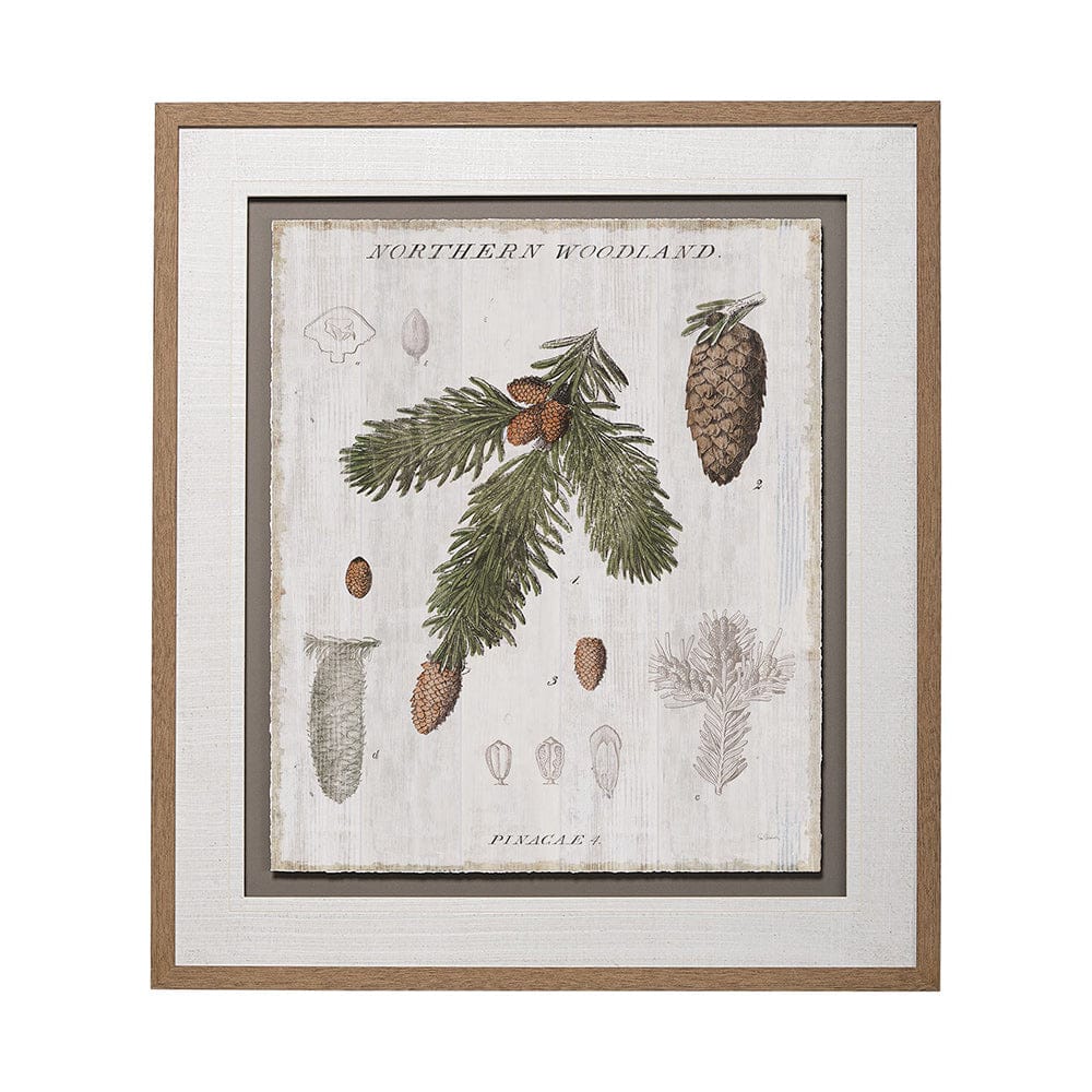 Mercana - Woodland Chart V by Sue Schlabach a Hand Embellished Textured Framed Art Print Matted under Glass - 13075 view 1
