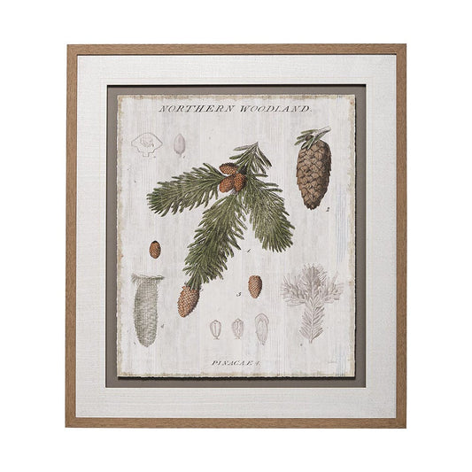 Mercana - Woodland Chart V by Sue Schlabach a Hand Embellished Textured Framed Art Print Matted under Glass - 13075 view 1