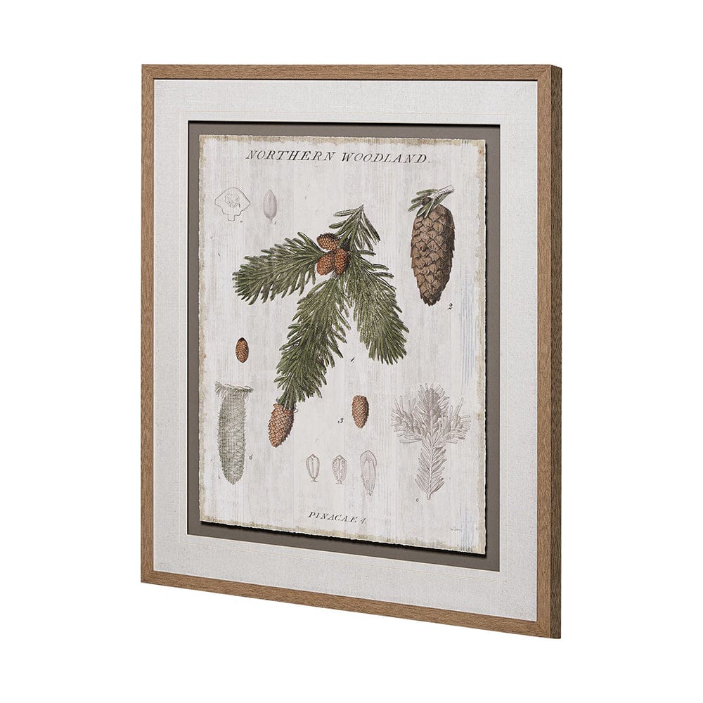 Mercana - Woodland Chart V by Sue Schlabach a Hand Embellished Textured Framed Art Print Matted under Glass - 13075 view 4