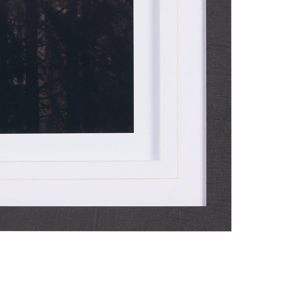 Mercana - Woodland Glow by Andreas Stridsberg a Hand Embelished Textured Framed Art Photo Matted under Glass - 9162 view 2