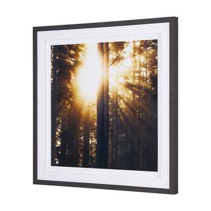 Mercana - Woodland Glow by Andreas Stridsberg a Hand Embelished Textured Framed Art Photo Matted under Glass - 9162 view 5