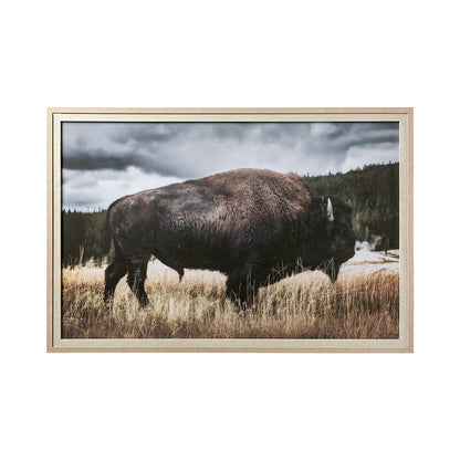 Mercana - Yellowstone Bison by Dunker a Framed Art Print Matted under Glass - 12491 view 1
