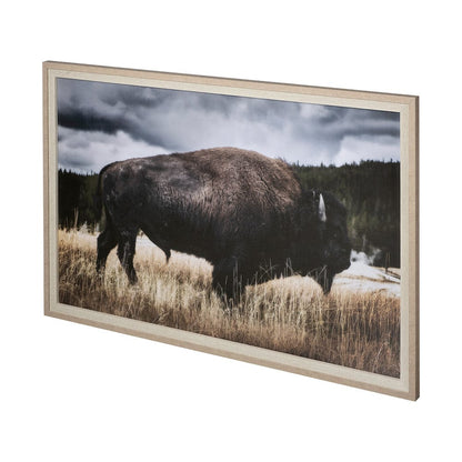 Mercana - Yellowstone Bison by Dunker a Framed Art Print Matted under Glass - 12491 view 3