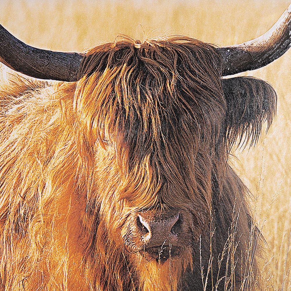 Mercana - Young and Old Highlander by Mercana Studio Hand Embellished Framed Art Print Matted under Glass - 15017 view 6