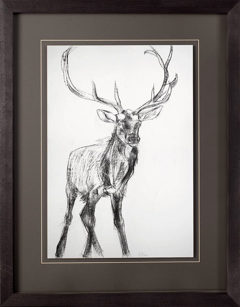 Mercana - Young Elk by Harvey, Brenna a Framed Art Print Matted under Glass - 10287 view 2