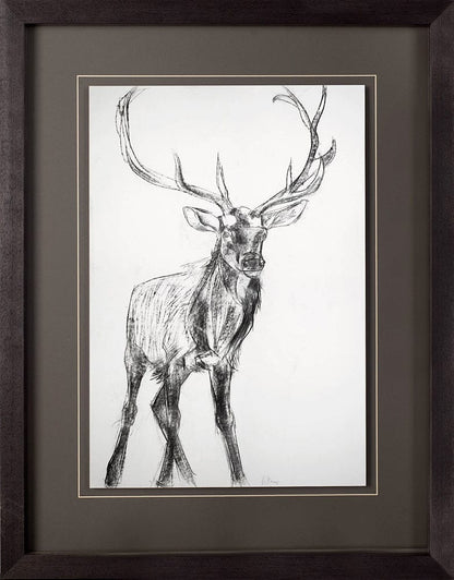 Mercana - Young Elk by Harvey, Brenna a Framed Art Print Matted under Glass - 10287 view 2