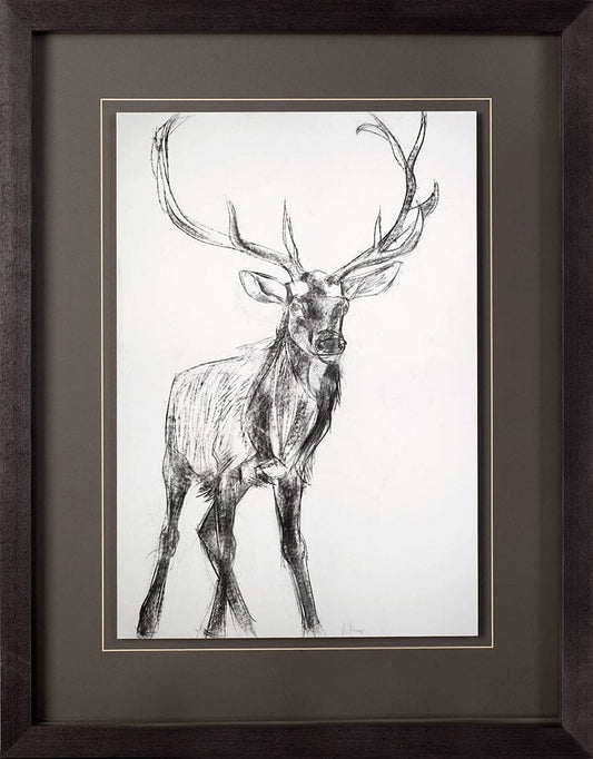 Mercana - Young Elk by Harvey, Brenna a Framed Art Print Matted under Glass - 10287 view 2
