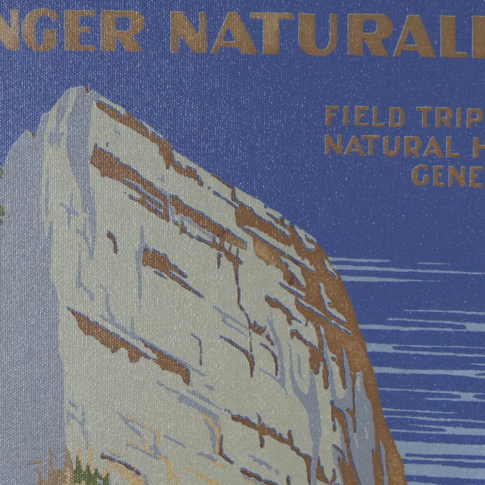 Mercana - Zion National Park by The Vinatage Collection a Framed Art Print Matted under Glass - 15282 view 7