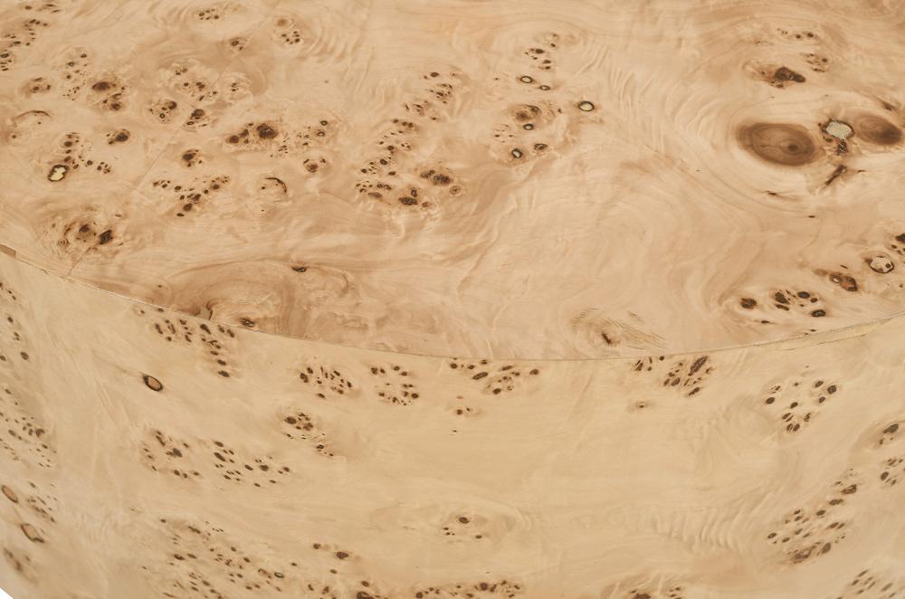 Meridian Furniture - Burl Natural Ash Coffee Table - 270-C veiw 5
