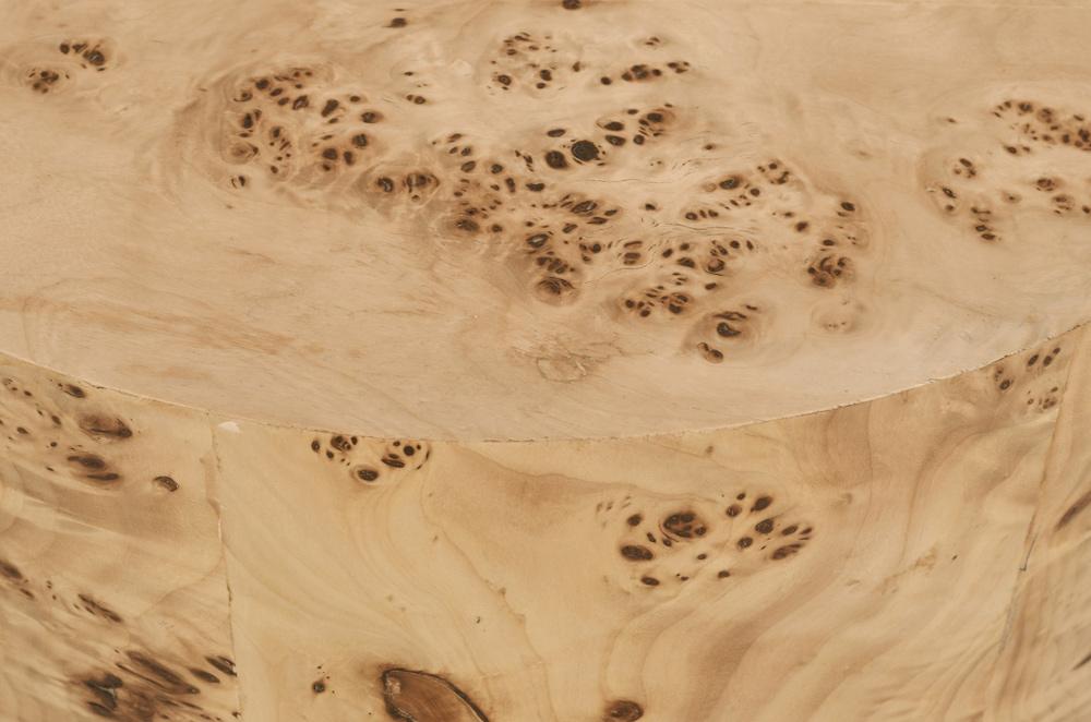 Meridian Furniture - Burl Natural Ash End Table - 270-E veiw 5