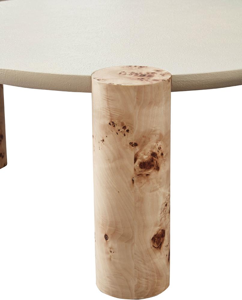 Meridian Furniture - Thor Burl End Table - 99036-ET veiw 4