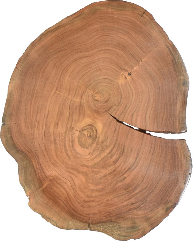 Meridian Furniture - Woodland Natural Wood End Table - 258-ET veiw 5