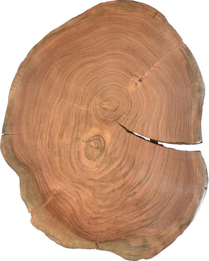Meridian Furniture - Woodland Natural Wood End Table - 258-ET veiw 5