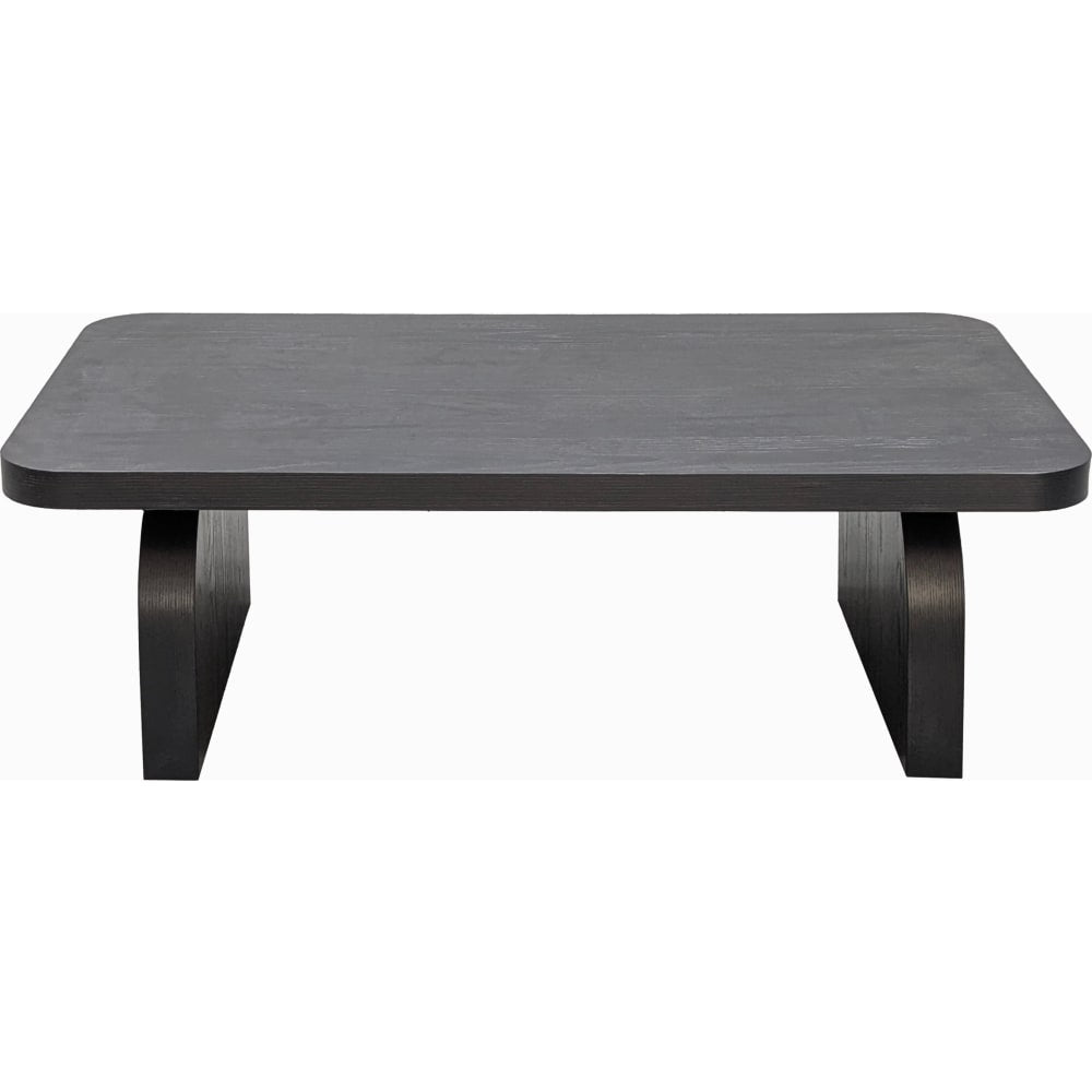 Modus Furniture - Elora Rect Coffee Tbl - Jet - PRKS21 view 7