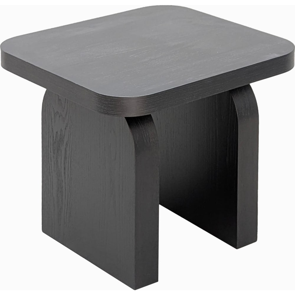 Modus Furniture - Elora Square End Table - Jet - PRKS22 view 6