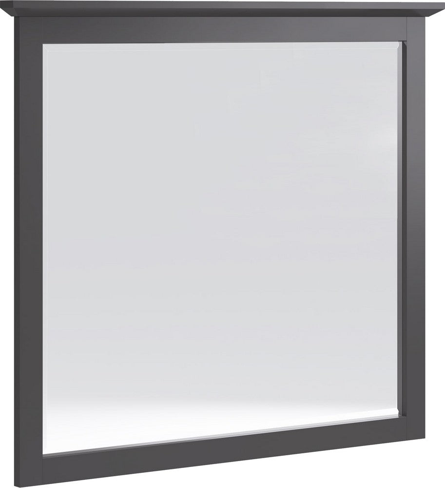 Modus Furniture - Grace Wall or Dresser Mirror in Raven Black - PNRB83 view 1
