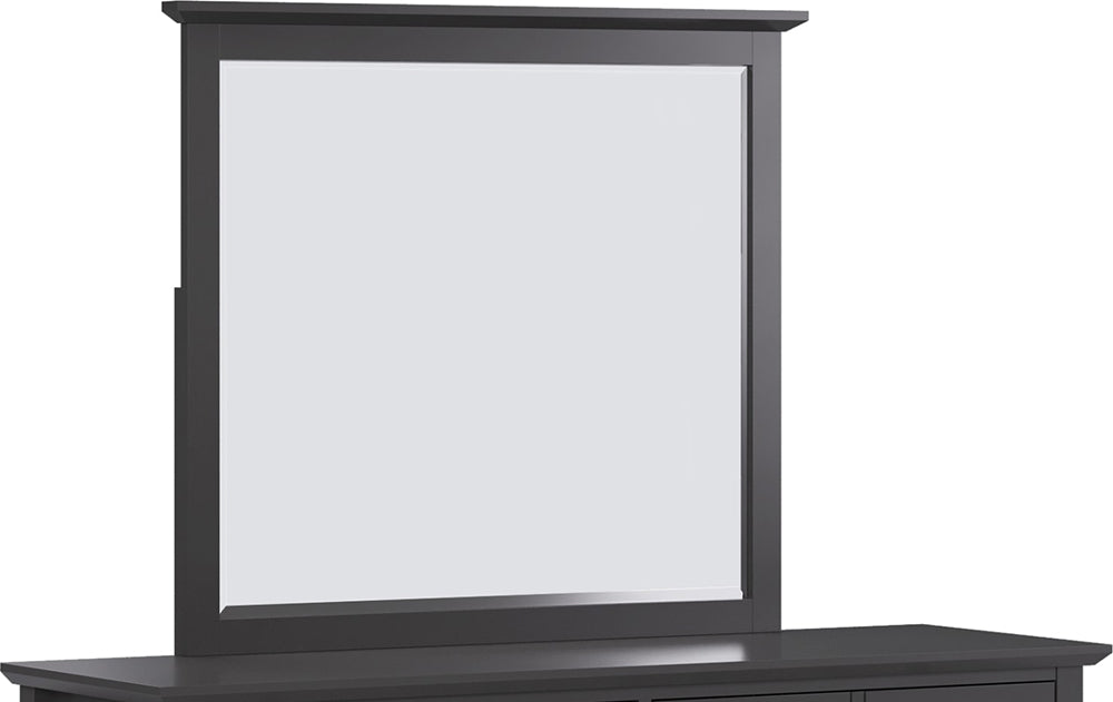 Modus Furniture - Grace Wall or Dresser Mirror in Raven Black - PNRB83 view 4