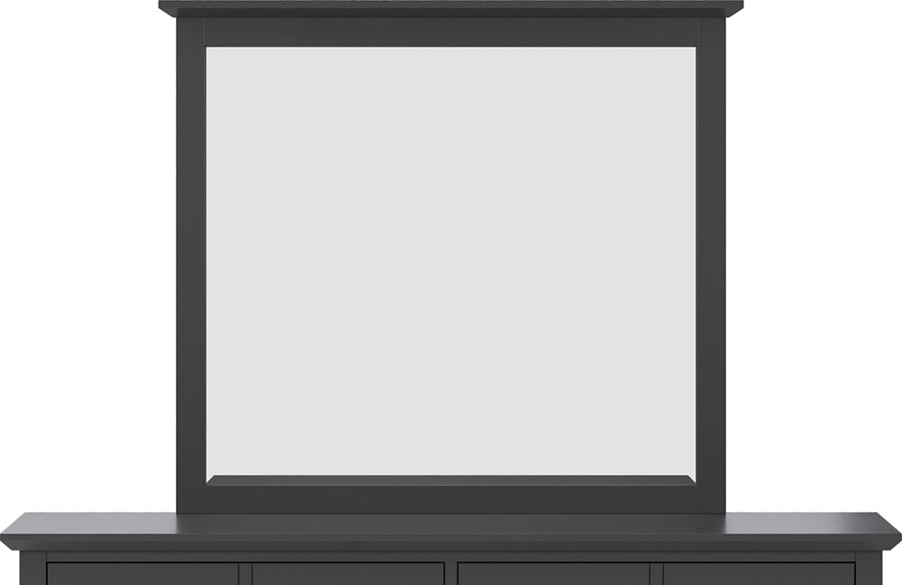 Modus Furniture - Grace Wall or Dresser Mirror in Raven Black - PNRB83 view 5