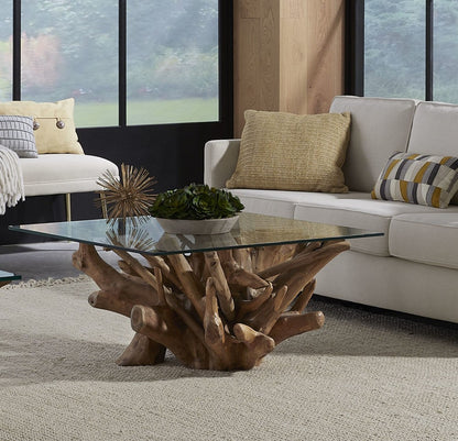 Modus Furniture - One Solid Teak Root Glass Top Coffee Table - JVHS21 view 2
