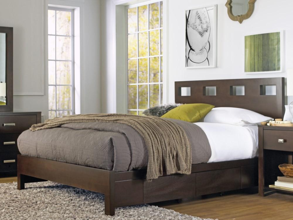 Modus Furniture - Riva Queen-size Platform Storage Bed in Chocolate Brown - RV26D5 veiw 1