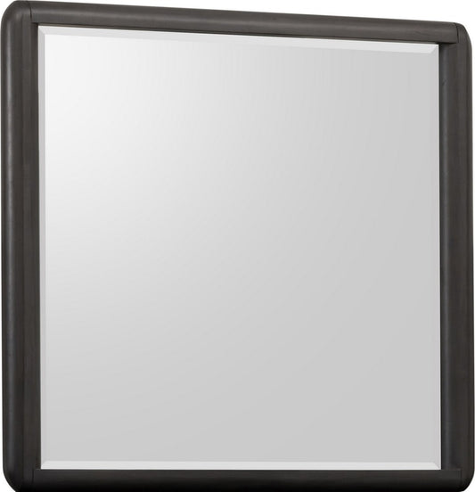 Modus Furniture - Xolani Beveled Glass Wall or Dresser Mirror in Jaguar - TTXT83 view 1