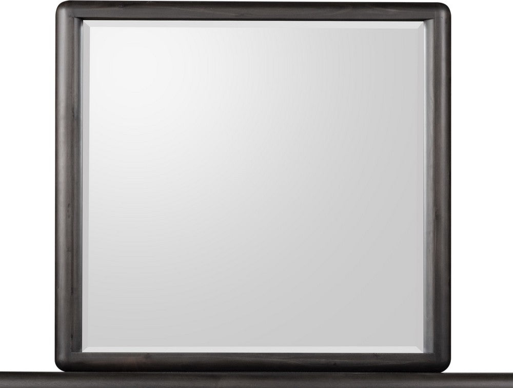 Modus Furniture - Xolani Beveled Glass Wall or Dresser Mirror in Jaguar - TTXT83 view 2