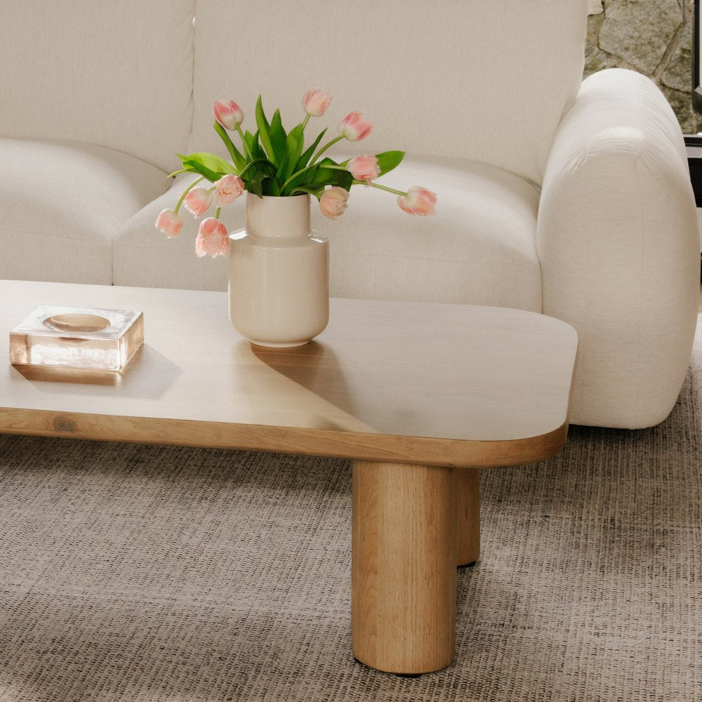 Moes Home - Anders Coffee Table Natural - PP-1027-24-0 view 7