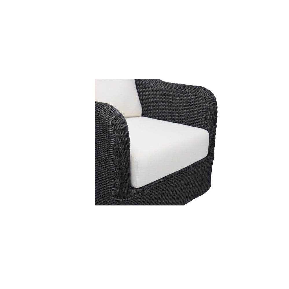 Moes Home - Bodhi Outdoor Swivel Accent Chair  Charcoal - ET-1009-07 view 8