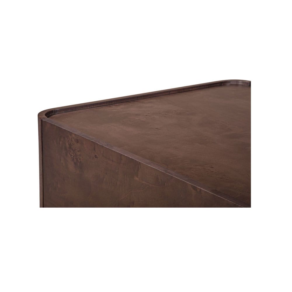 Moes Home - Gibson Coffee Table Burl - FC-1022-20 view 7