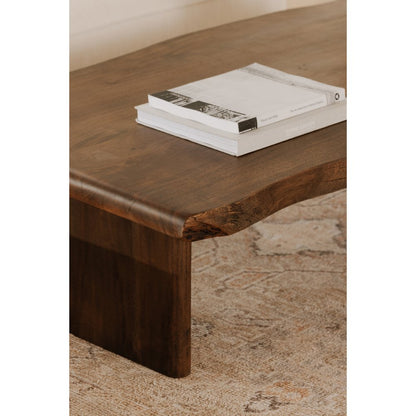 Moes Home - Lila Coffee Table Brown - BB-1016-03-0 view 12