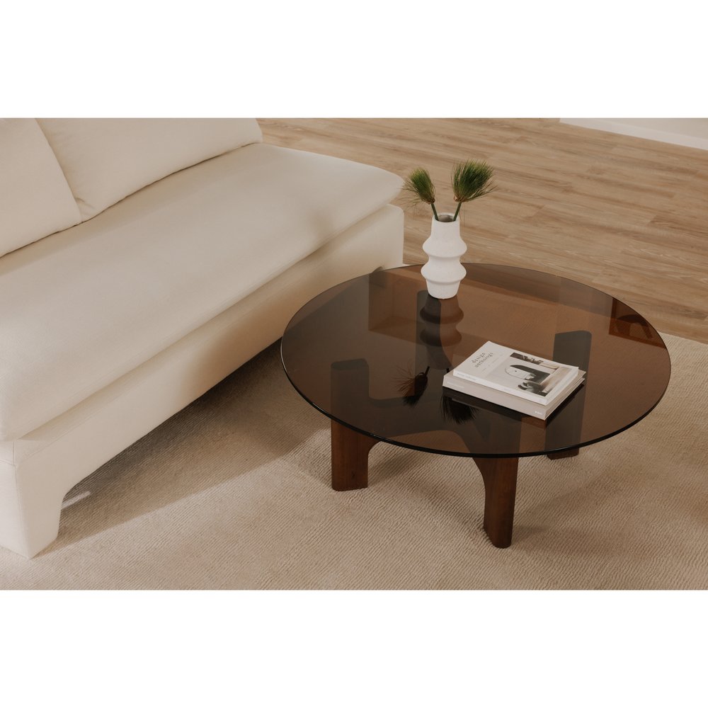 Moes Home - Luke Coffee Table Amber - EW-1021-21-0 view 8