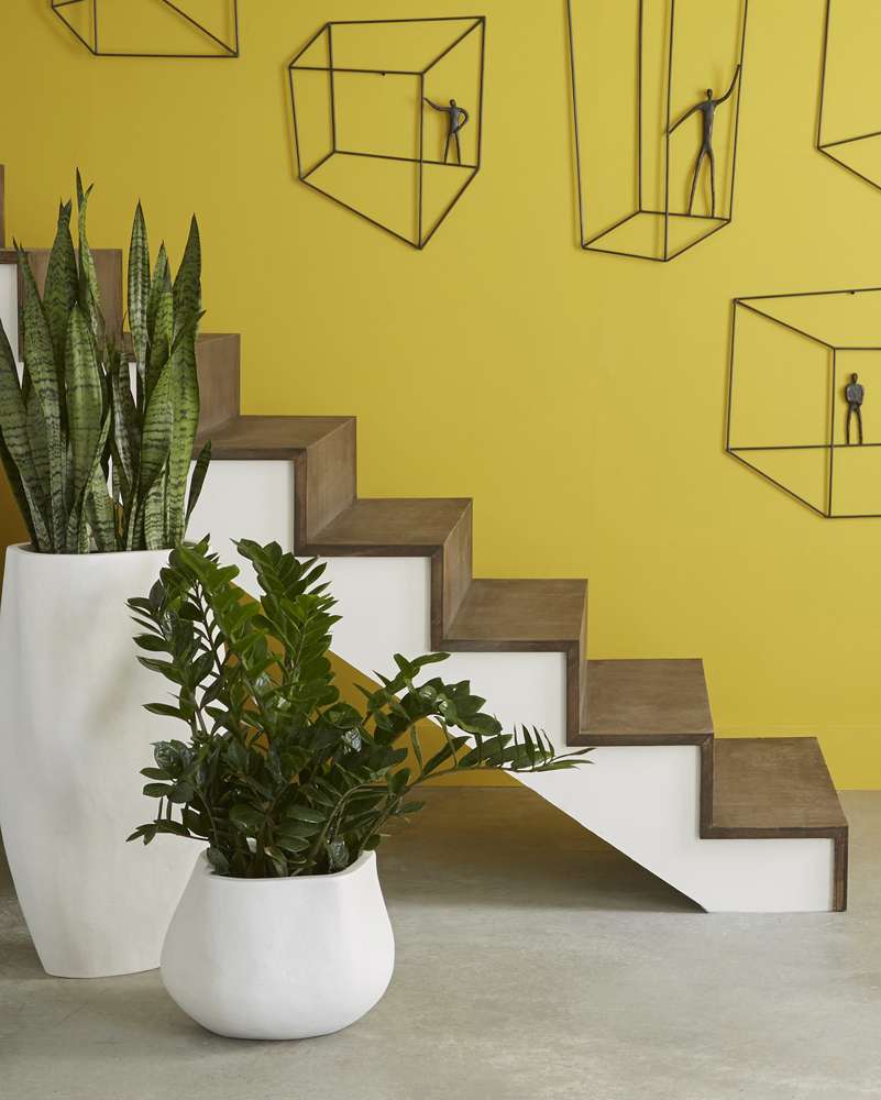 Phillips Collection - Amorphous Planter, Large, White - PH97029 veiw 4