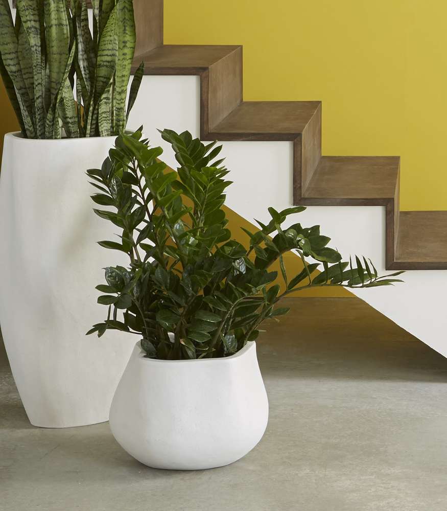 Phillips Collection - Amorphous Planter, Small, White - PH97030 veiw 4