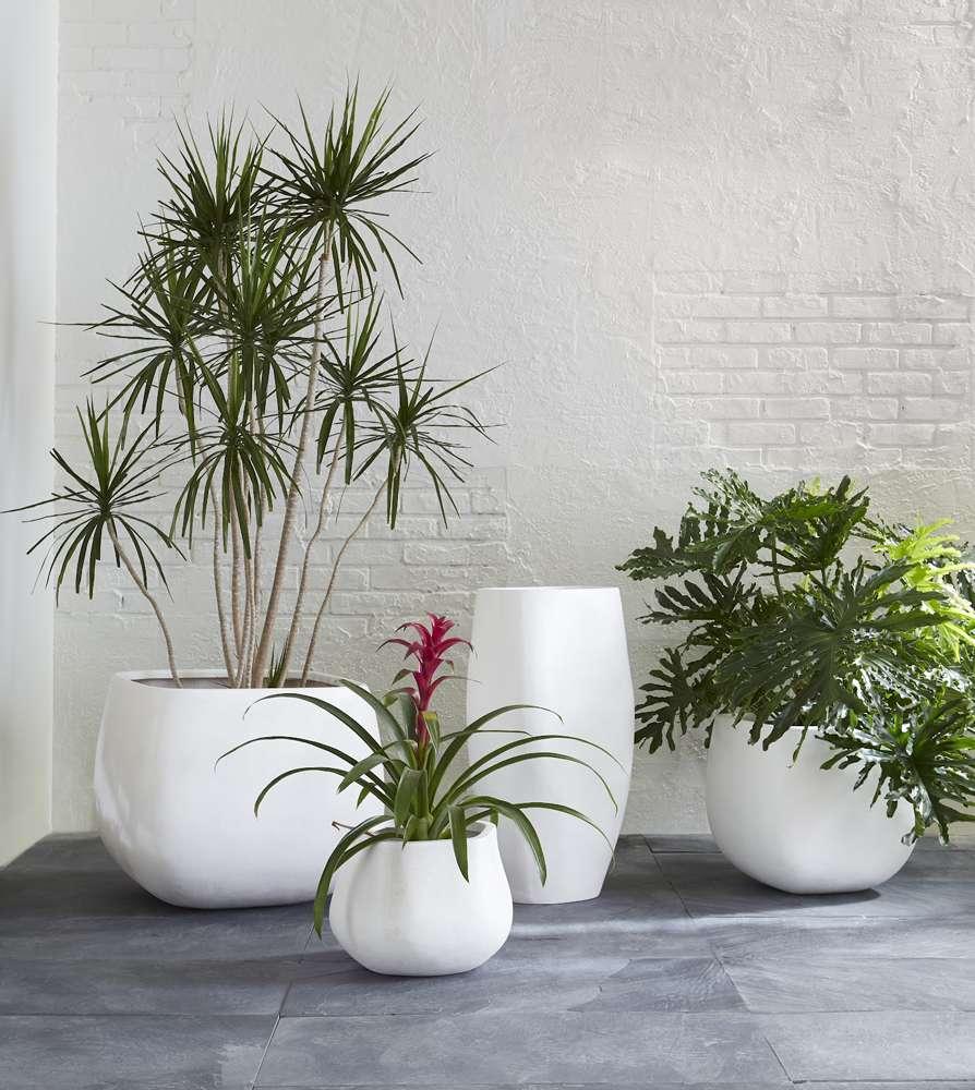 Phillips Collection - Amorphous Planter, Small, White - PH97030 veiw 6
